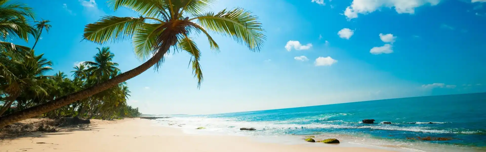 Promotion Caraïbes (Antilles)