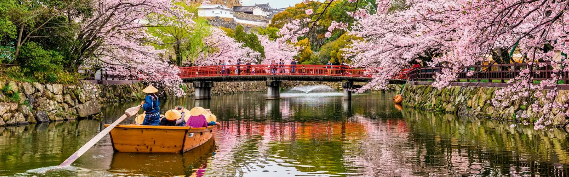 Promotion Japon, Corée et Chine