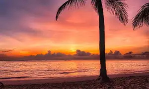 Saint Domingue