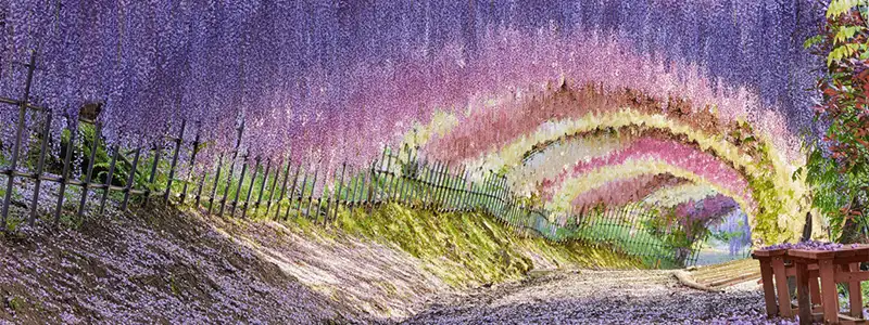 Kita Kyushu