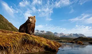 Image de Alaska