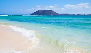Image de Canaries