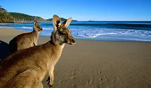 Image de Oceania