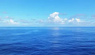Image de Océaniques