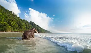 Image de océan Indien