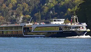 Image de Avalon Passion