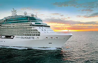 Image de Celebrity Silhouette