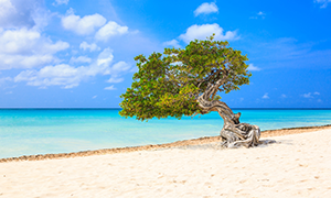 Image de Aruba
