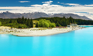 immagine di Nouvelle-Zélande
