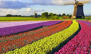 Image de Pays-Bas