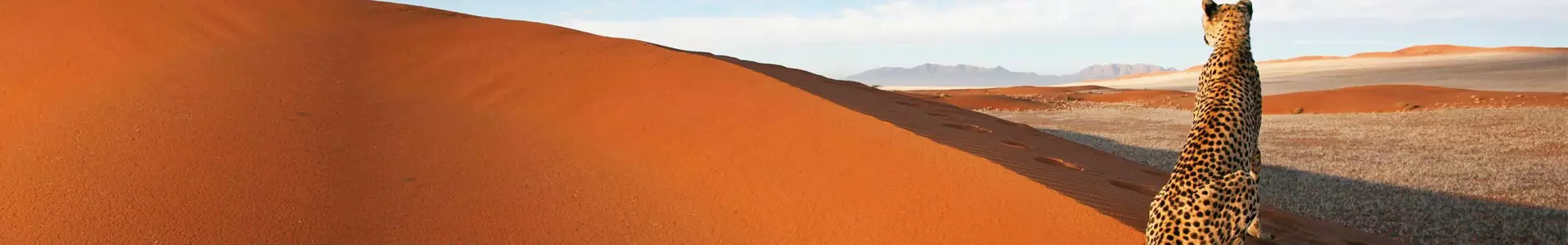 Afrique de l'Ouest