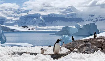 Antarctique